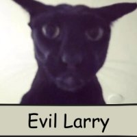 1786698034557 400eac32 — Characters option 1459