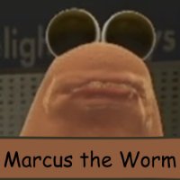 1786698419592 89593c90 — Characters option 213