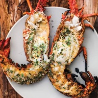 1790093830363 E58992ea — Food and Drink option 40