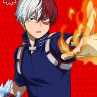 1790955268788 47c3ae05 — My Hero Academia option 11