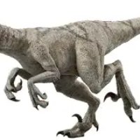 1792100022443 607251a3 — Dinosaurs option 27