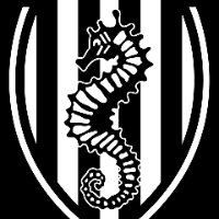 1792667879975 6959d042 — Football (Soccer) option 12