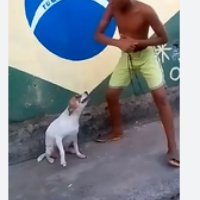 1793357279895 F8485134 — Memes option 35