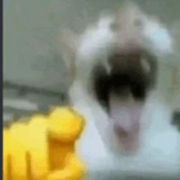 1793357281861 Cc5b74d6 — Memes option 71