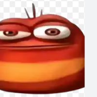 1793357282884 34c3c8bf — Memes option 88