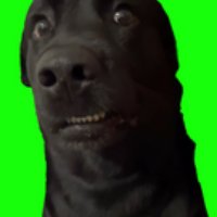 1793357283438 B0b4ba44 — Memes option 97