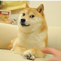 1793357283717 27d43062 — Memes option 101
