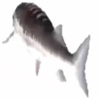 1793357291905 D36f4e18 — Memes option 191